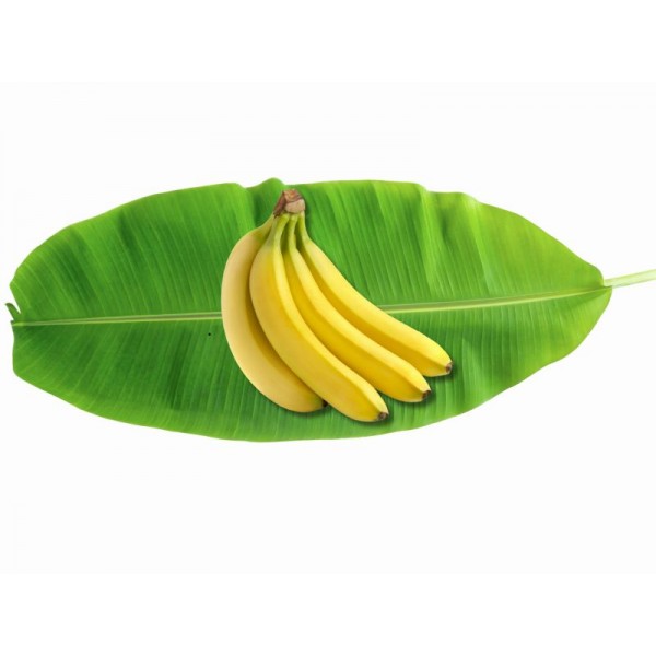 Banana Nendran Semi Ripe 500 g (2 combo)