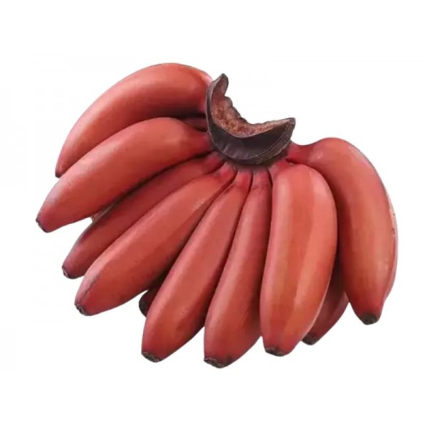 Banana Red 450 g - 550 g