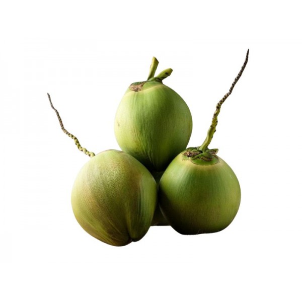 Tender Coconut (3 Pieces Combo)