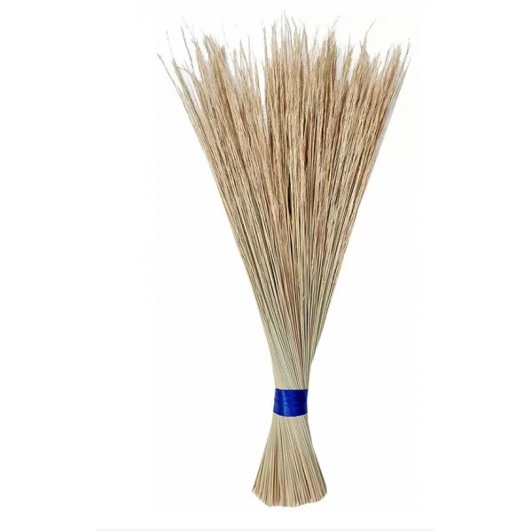 Coconut Broom