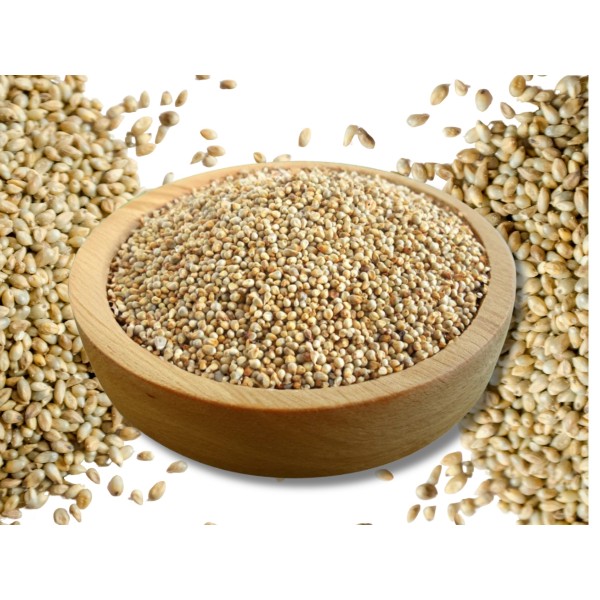 Pearl Millet 1 kg