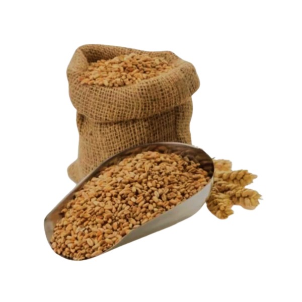 Samba Wheat 500 g