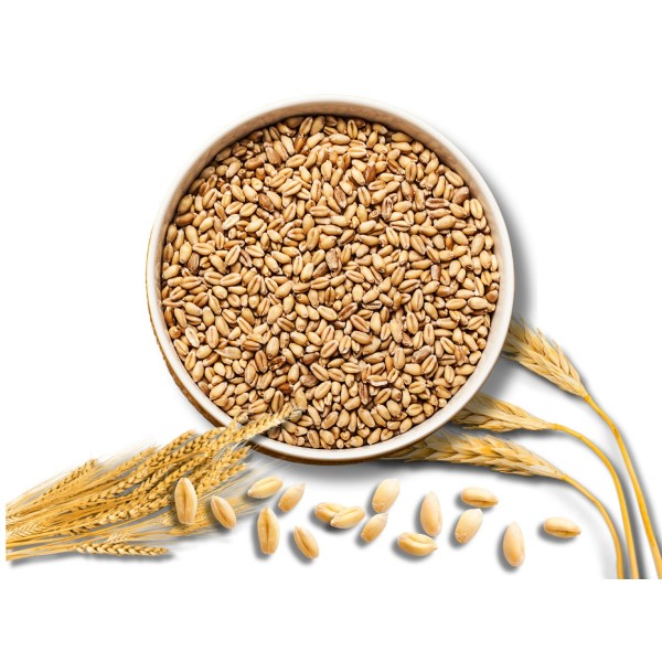 Wheat 1kg 