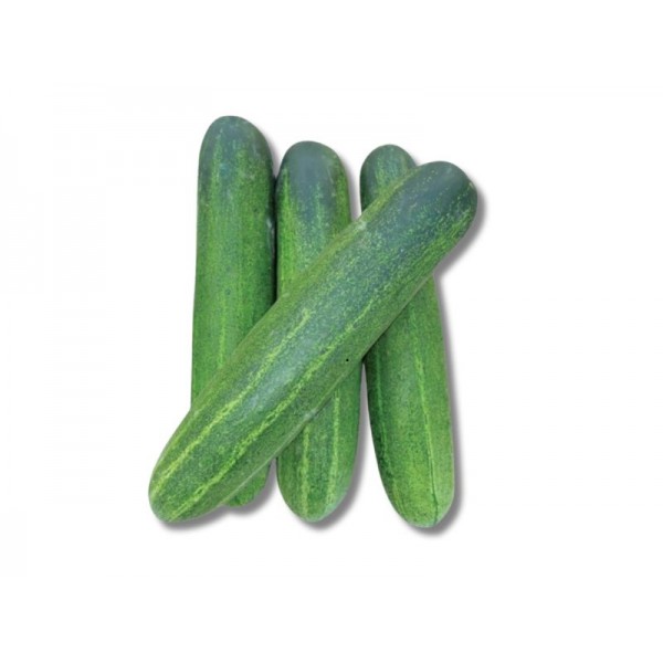 Cucumber 1 kg