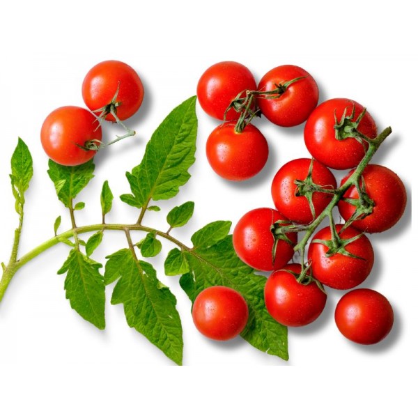 Fresh Tomato 500 g