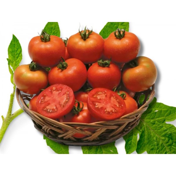 Fresh Tomato Hybird 1 kg