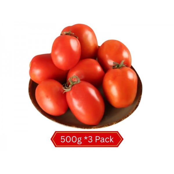 Fresh Tomato Hybird 500 X 3