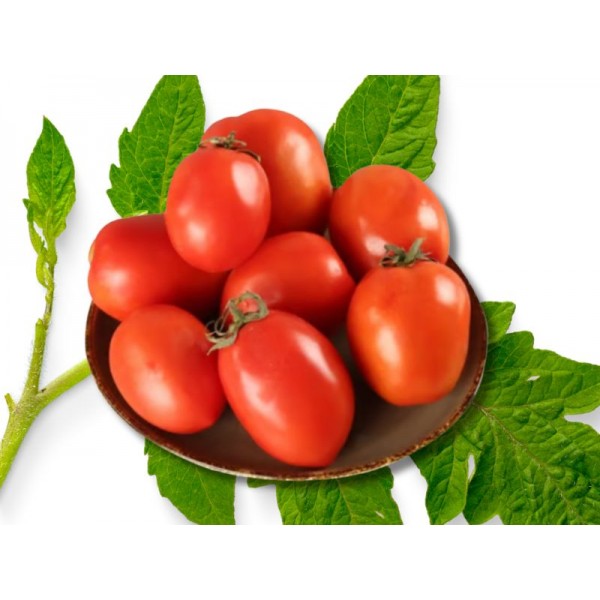 Fresh Tomato Hybird 500 g