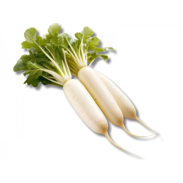 Fresh White Radish 250 g
