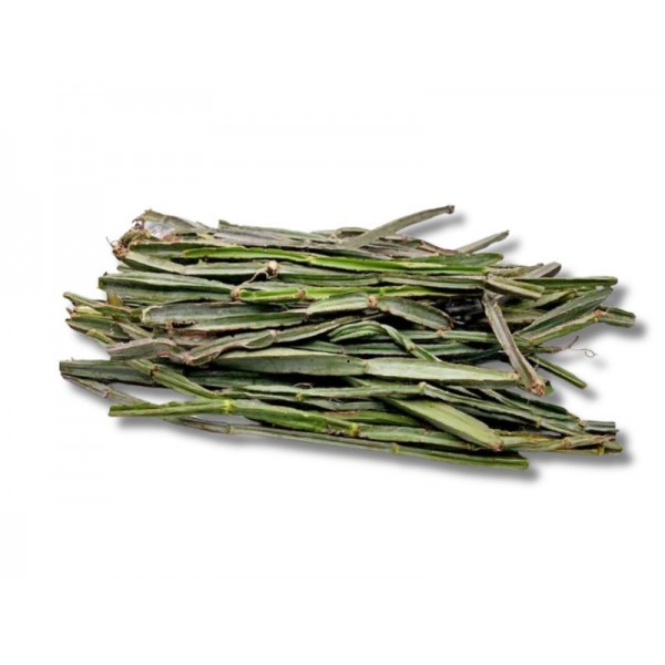 Piradandai 1 Bunch