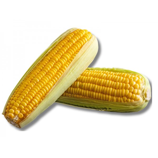 Sweet Corn 2 Pieces
