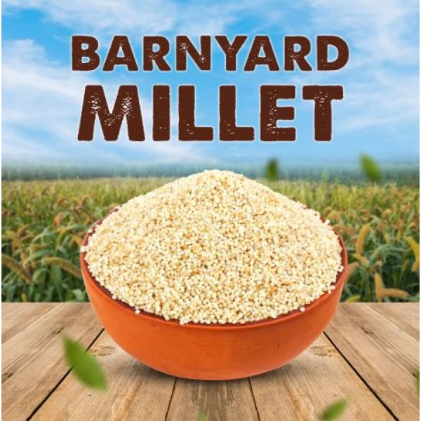 Organics Barnyard Millet 500 g